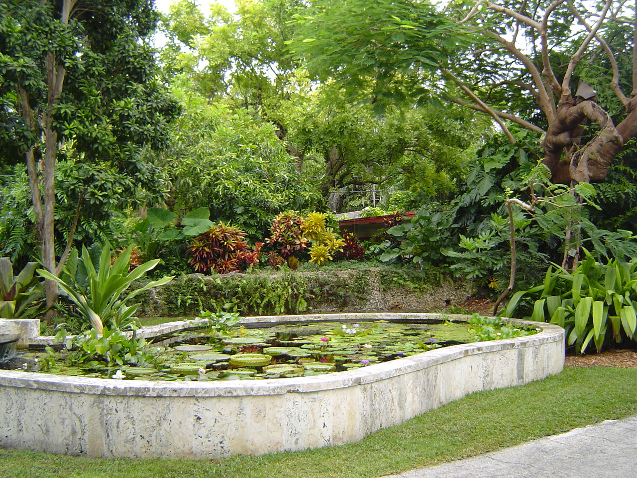 South Florida Garden Tours - TRAVEL LOGS - PalmTalk